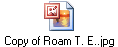 Copy of Roam T. E..jpg